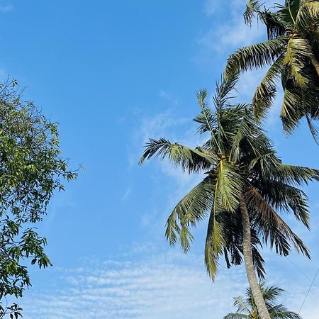 Jilan Homestay Bentota Exterior foto