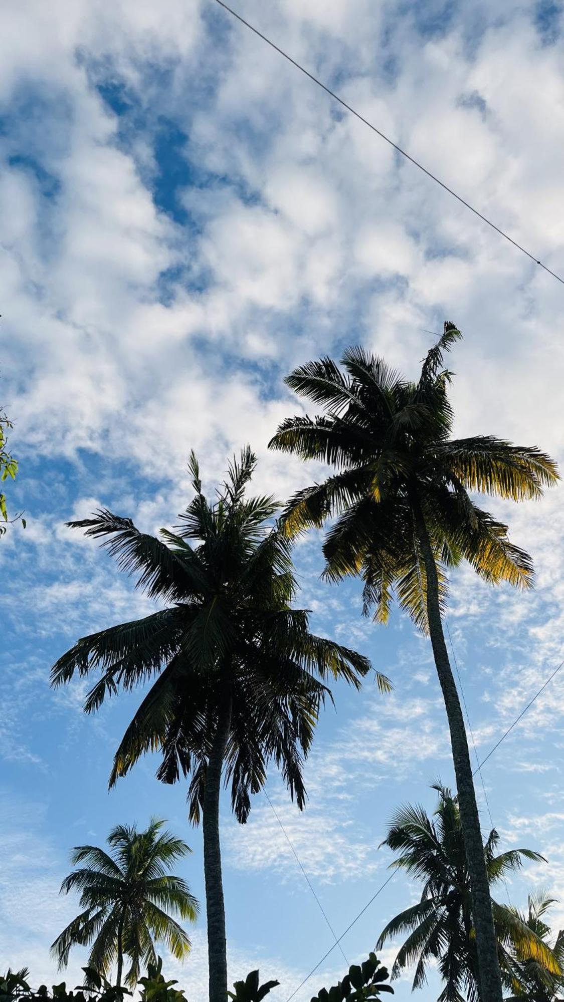 Jilan Homestay Bentota Exterior foto
