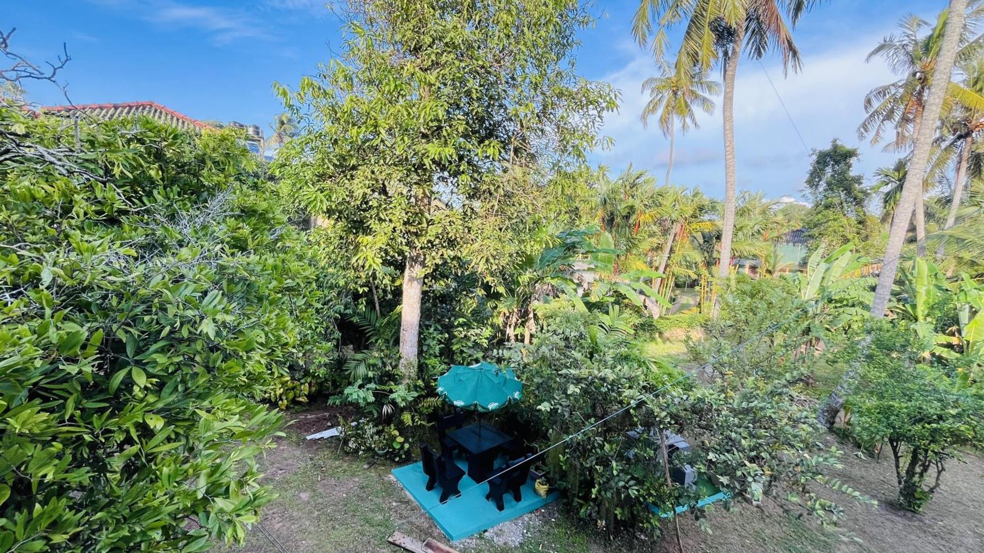 Jilan Homestay Bentota Exterior foto